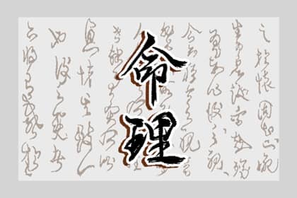择吉老黄历 择吉日历 择吉皇历