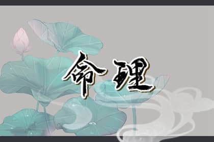 黄历择吉|择吉老黄历皇历|择吉日查询